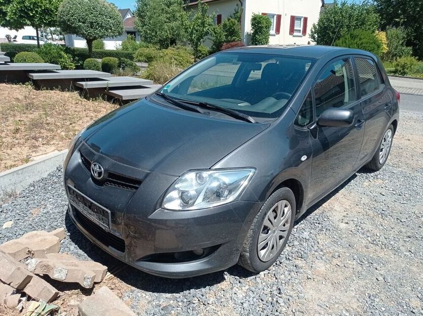 Auris