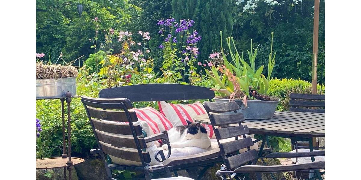 Einfamilienhaus Neustadt in Holstein - 5 Zimmer, 120 m&sup2;, 635.000&euro; | Angebot:26339396