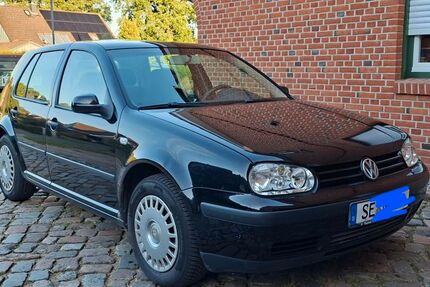 VW Golf 225.415 km 2.000 &euro; Groß Rönnau 23795