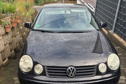 VW Polo 244.000 km 1.399 &euro; Lennestadt 57368