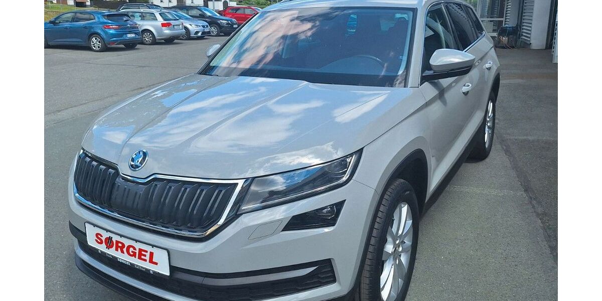 Skoda Kodiaq 90.200 km 25.999 &euro; Bad Elster 08645