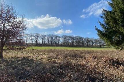 Haus Hamburg Lemsahl-Mellingstedt - 9 Zimmer, 256 m&sup2;, 1.545.000&euro; | Angebot:26277082