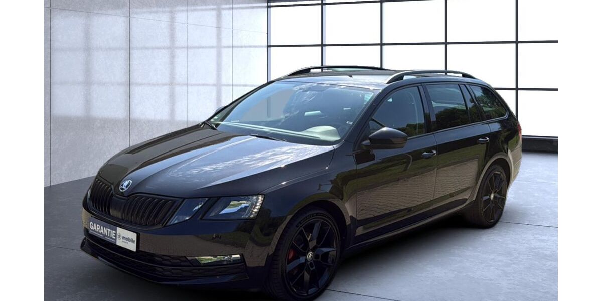 Skoda Octavia 82.000 km 17.400 &euro; Brand-Erbisdorf 09618