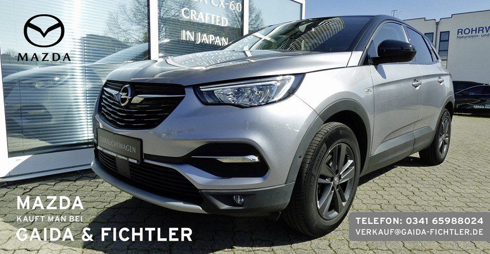 Opel Grandland (X) 52.090 km 16.980 &euro; Leipzig 04316