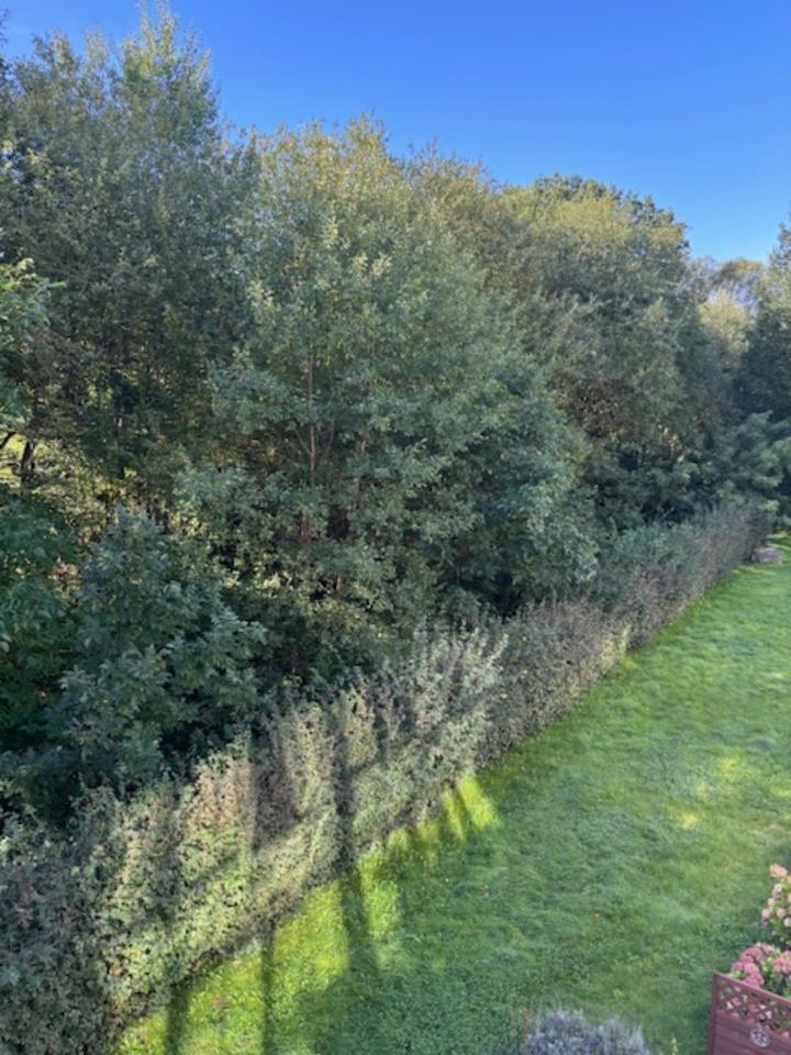 3-Raumwohnung in SN-Krebsförden zur Miete zimmer