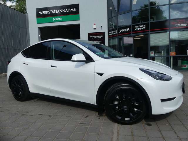 Model Y