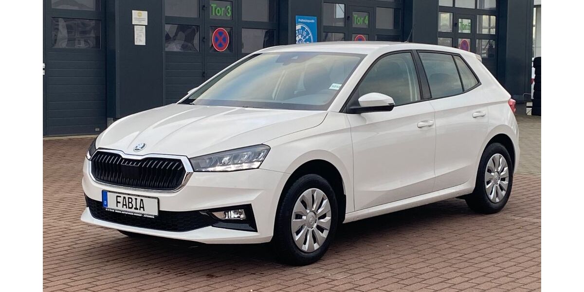 Skoda Fabia 1.110 km 17.990 &euro; Jüterbog 14913