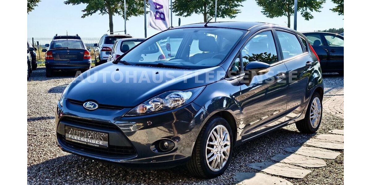 Ford Fiesta 165.000 km 3.750 &euro; Penkow 17213