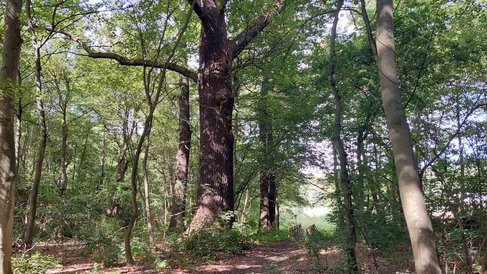 Etagenwohnung Treuenbrietzen - 6 Zimmer, 160 m&sup2;, 1.440&euro; | Angebot:25832302