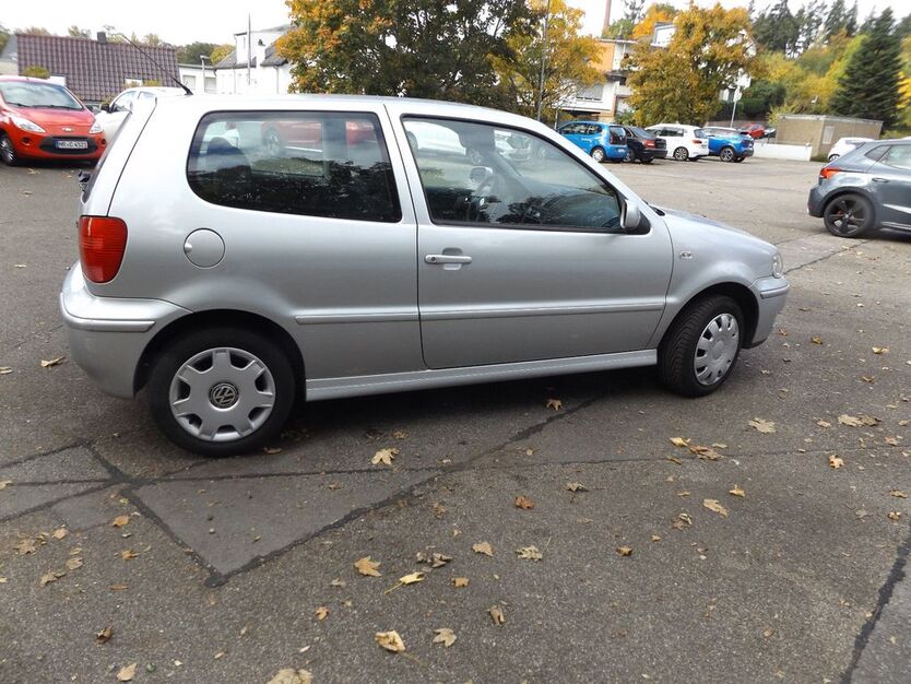 VW Polo 239.429 km 1.750 € Neuwied 56564