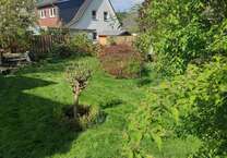 Grundstück zu verkaufen in Oldenburg 169.000 € 400 m²