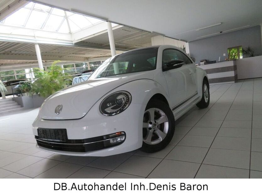 Beetle