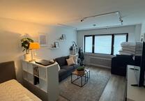 1 Zimmer Apartment in Frankfurt Bockenheim