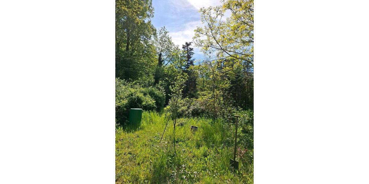 Einfamilienhaus Wusterwitz - 4 Zimmer, 180 m&sup2;, 200.000&euro; | Angebot:24639793