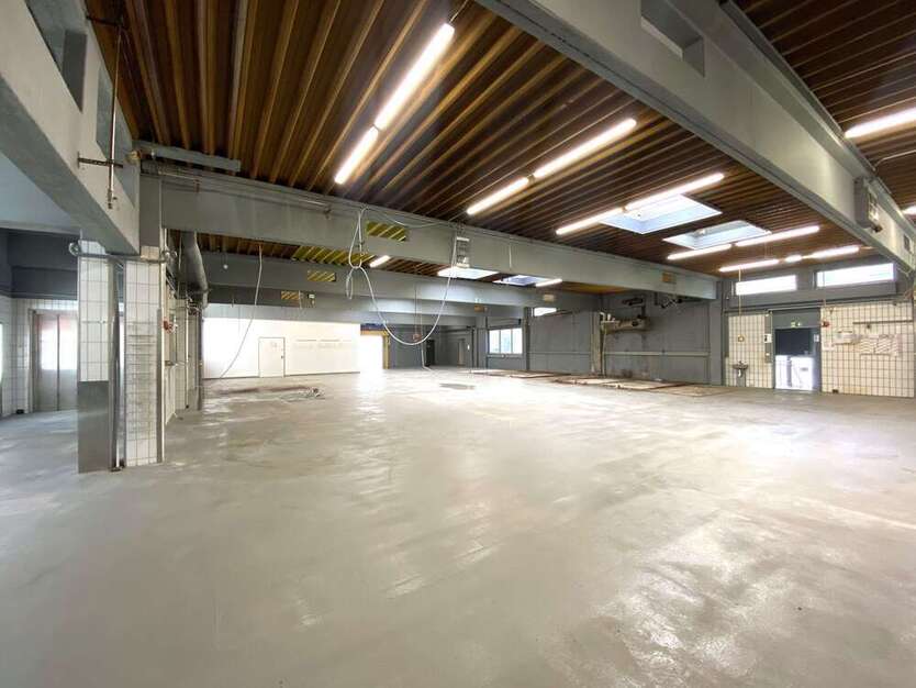 Halle in Ulm 3.500 € 1600 m²