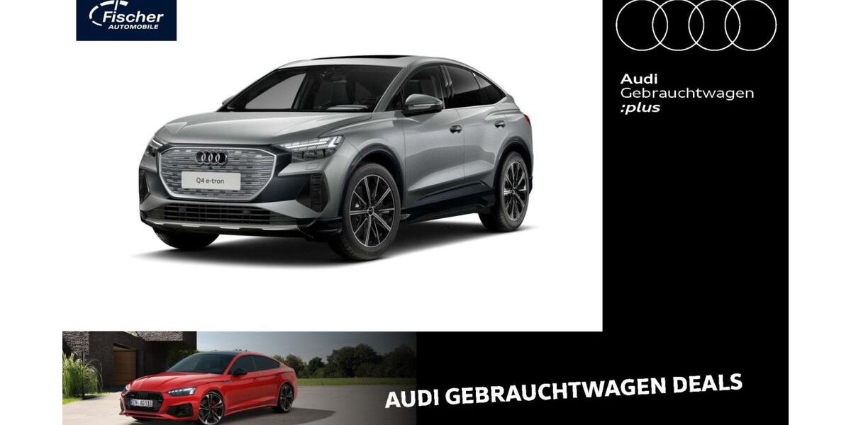 Audi Q4 e-tron 29.055 km 44.980 &euro; Neumarkt 92318