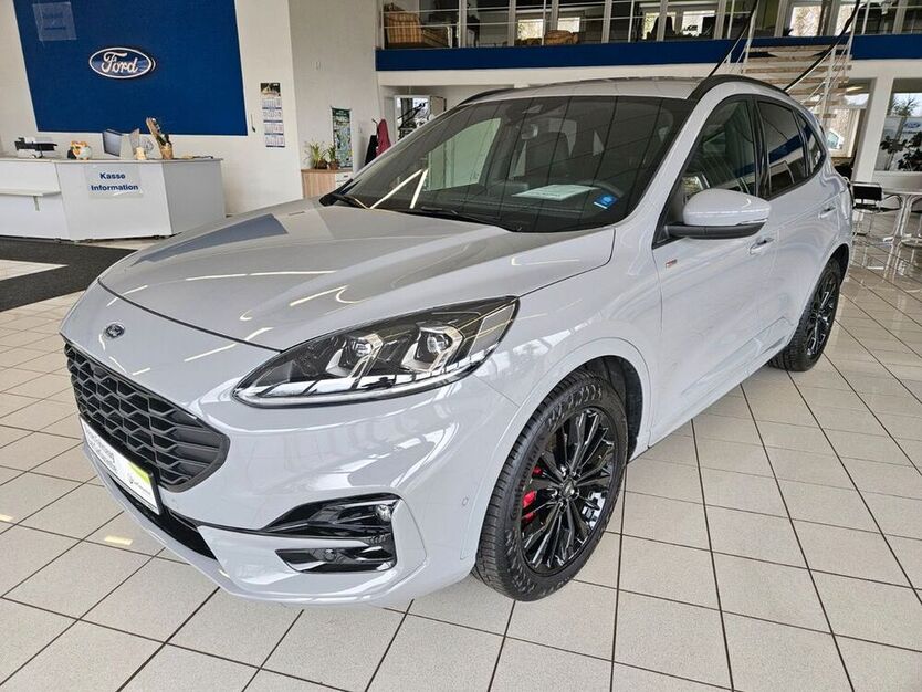 Kuga