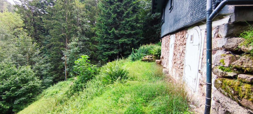 Einfamilienhaus Lauterbach - 3 Zimmer, 150 m&sup2;, 1.000&euro; | Angebot:20970242