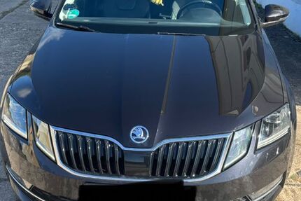 Skoda Octavia 110.550 km 15.000 &euro; Neustrelitz 17235
