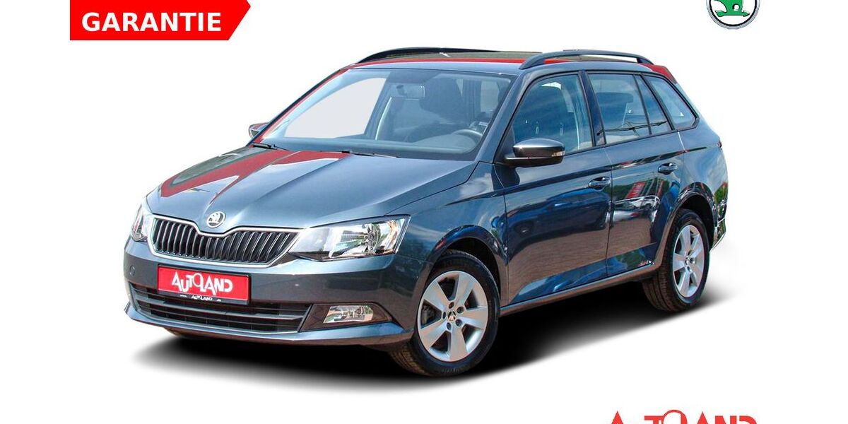 Skoda Fabia 46.315 km 13.990 &euro; Dresden 01239