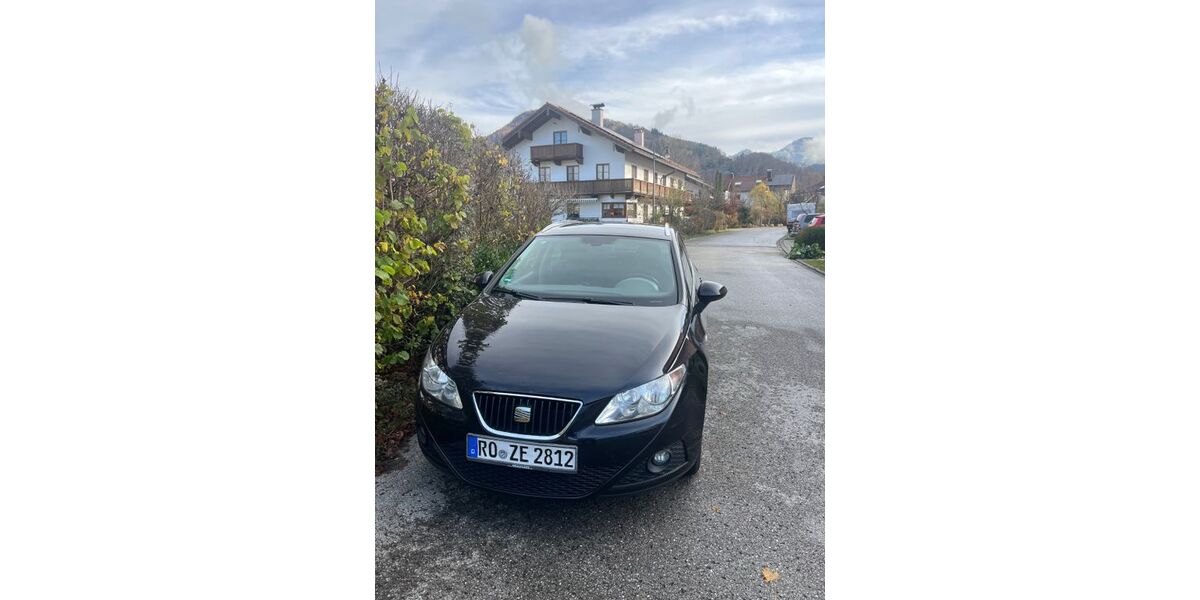 Seat Ibiza 115.351 km 5.500 &euro; Dresden 01099