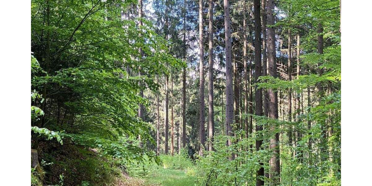 Grundstück Flossenbürg - 170.000&euro; | Angebot:26036735