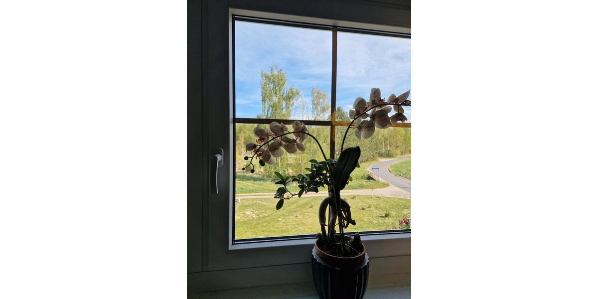 Einfamilienhaus Bad Freienwalde (Oder) - 4 Zimmer, 110 m&sup2;, 165.000&euro; | Angebot:26426087