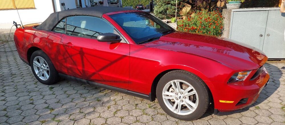 Mustang