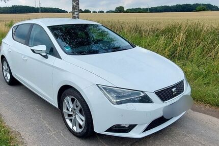 Seat Leon 203.700 km 8.100 &euro; Thomasburg 21401