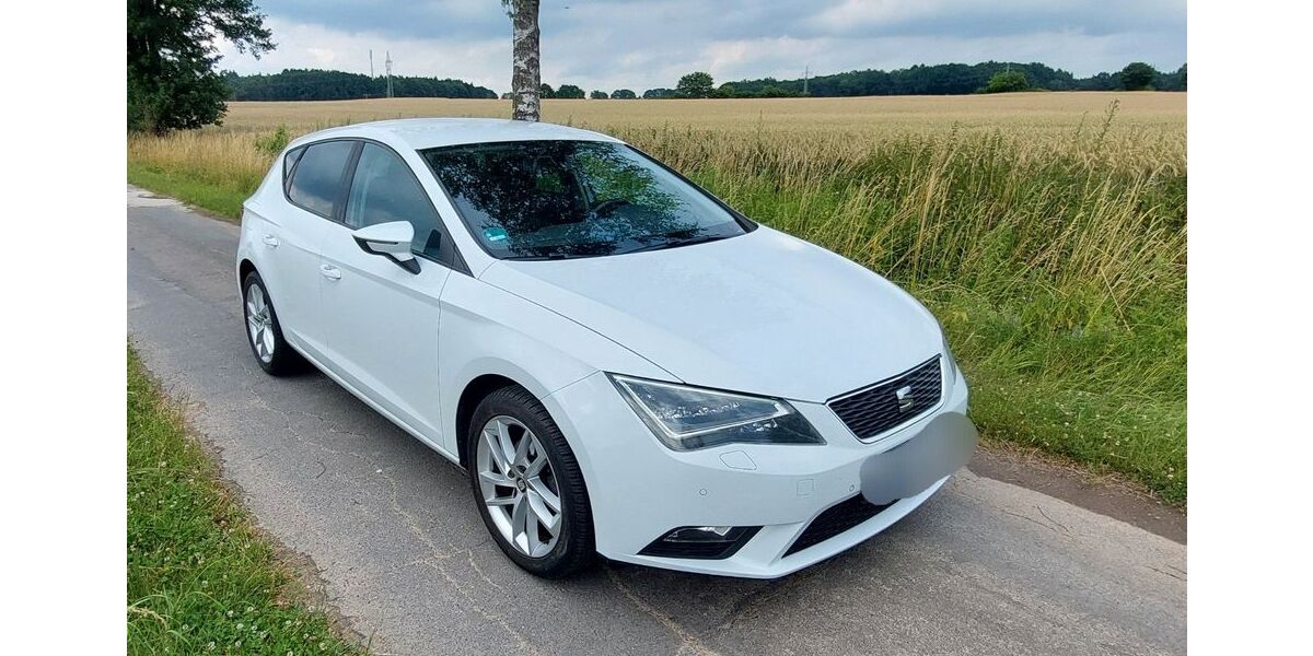 Seat Leon 203.700 km 8.100 &euro; Thomasburg 21401