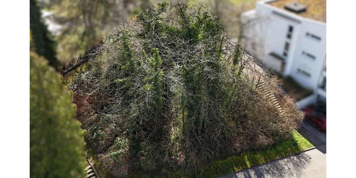 Grundstück Lörrach - 625.000&euro; | Angebot:26364032
