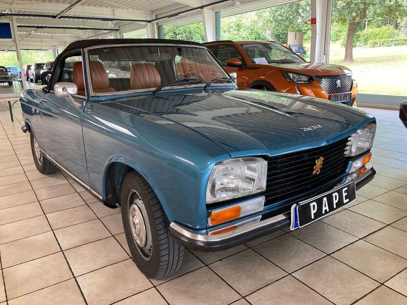 304