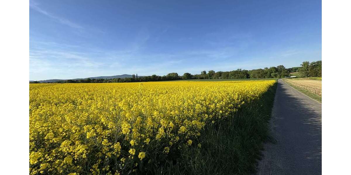 Gewerbeobjekt Sulzbach - 975.000&euro; | Angebot:24951756