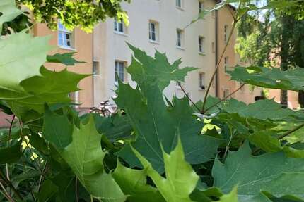 Wohnung zum Mieten in Rötha 510 € 84.64 m²