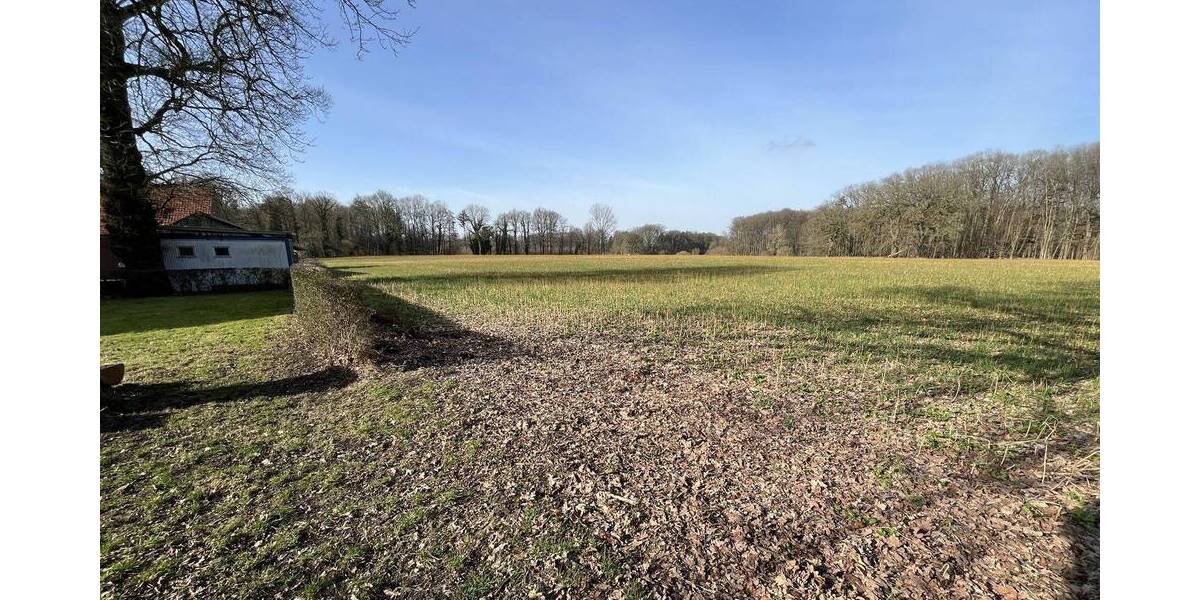 Mehrfamilienhaus, Wohnhaus Rheine Bentlage - 7 Zimmer, 205 m&sup2;, 2.262.000&euro; | Angebot:26015987