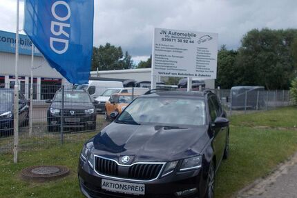 Skoda Octavia 173.600 km 13.199 &euro; Gnoien 17179
