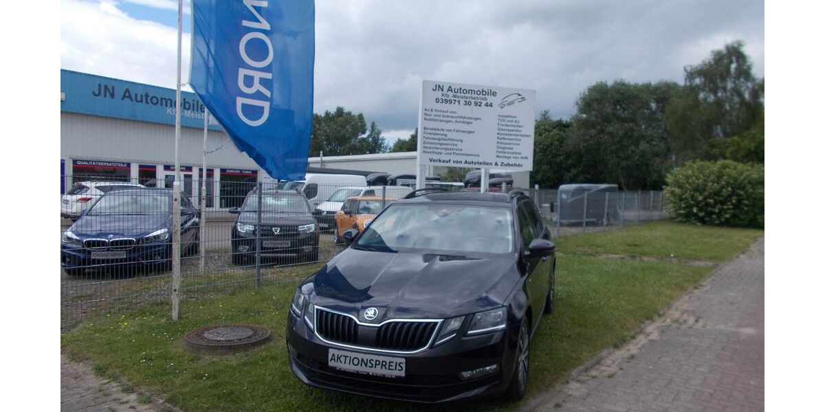 Skoda Octavia 173.600 km 13.199 &euro; Gnoien 17179