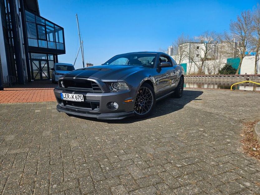 Mustang
