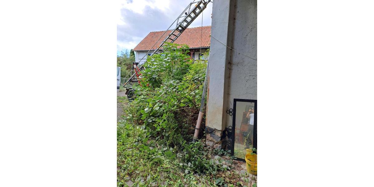 Mehrfamilienhaus, Wohnhaus Ballenstedt - 12 Zimmer, 180 m&sup2;, 88.888&euro; | Angebot:26612335
