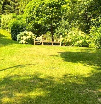 Einfamilienhaus Wernigerode - 8 Zimmer, 222 m&sup2;, 795.000&euro; | Angebot:27078971