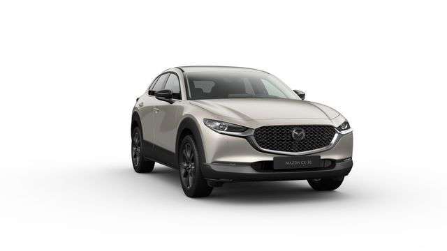 Mazda CX-30 20.250 km 26.700 € Rottenburg 84056
