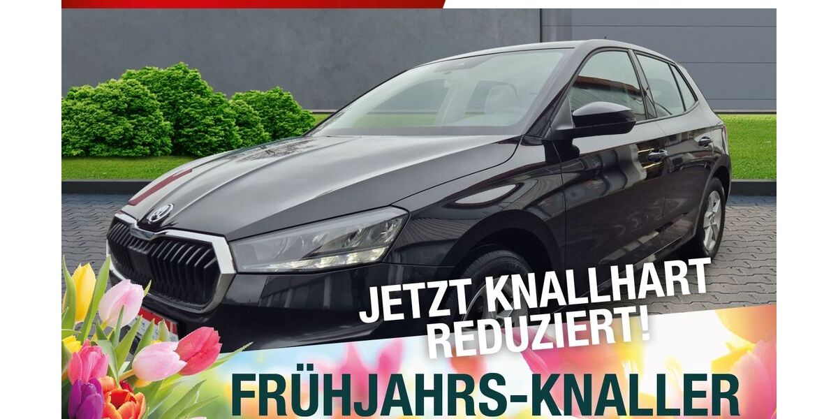 Skoda Fabia 52.578 km 15.870 &euro; Marktredwitz 95615