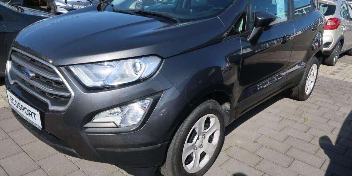 Ford EcoSport 118.875 km 10.250 &euro; Brakel 33034