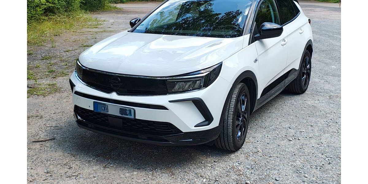Opel Grandland (X) 33.000 km 20.200 &euro; Aschaffenburg 63743