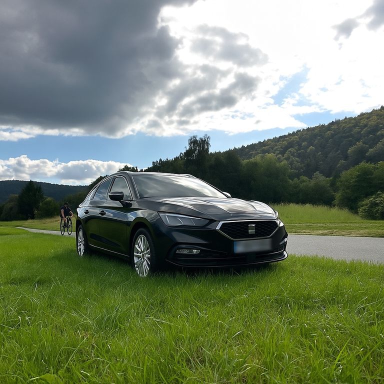 Seat Leon 74.000 km 24.999 € Kleinwallstadt 63839