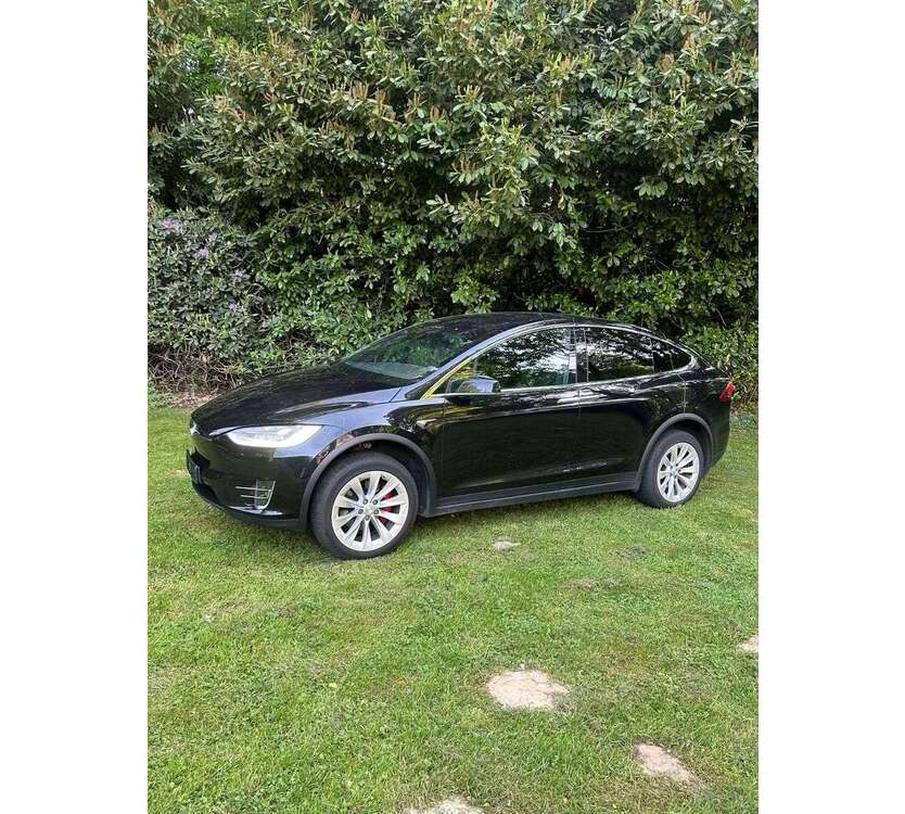 Model X