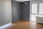 Mehrfamilienhaus, Wohnhaus Wittlich Wengerohr - 1 Zimmer, 296 m&sup2;, 749.000&euro; | Angebot:26503662