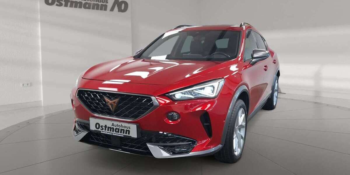 Cupra Formentor 103.122 km 19.650 &euro; Fritzlar 34560