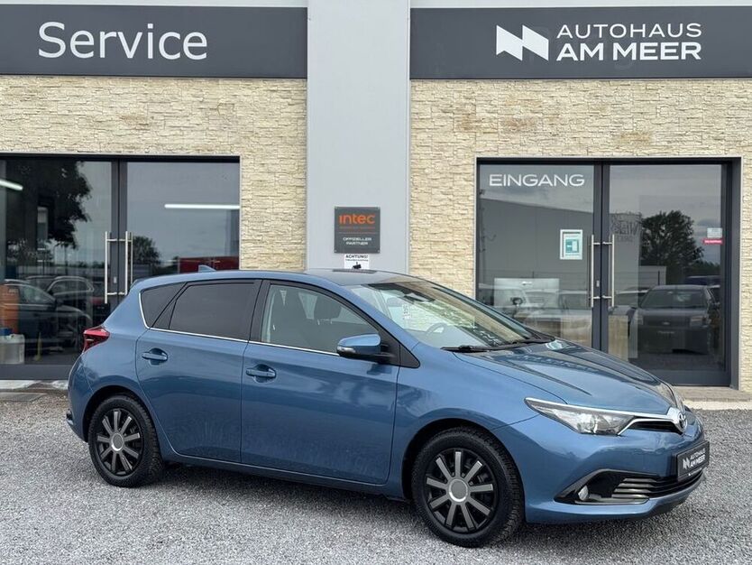Auris