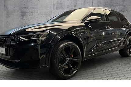 Audi e-tron 66.100 km 47.790 € Paderborn 33100